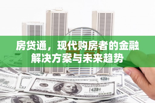 盐池房贷通，现代购房者的金融解决方案与未来趋势