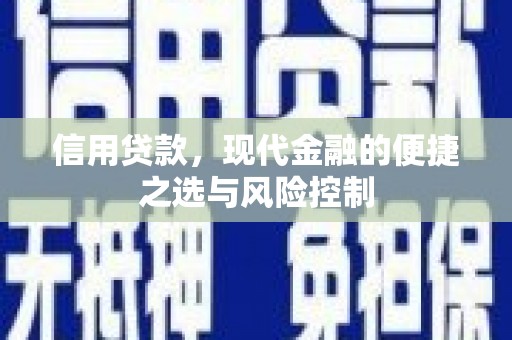 盐池信用贷款，现代金融的便捷之选与风险控制