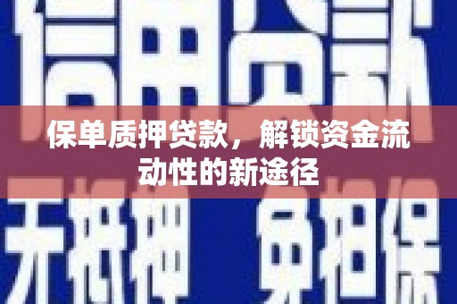 盐池保单质押贷款，解锁资金流动性的新途径
