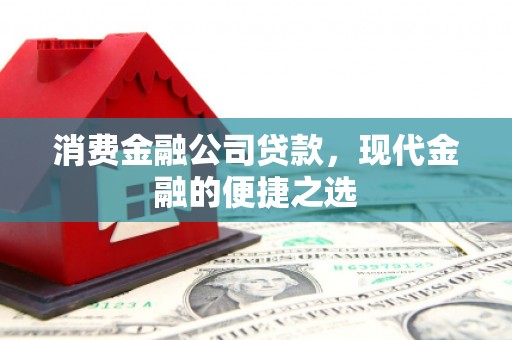 盐池消费金融公司贷款，现代金融的便捷之选