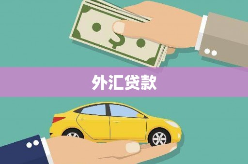 盐池外汇贷款