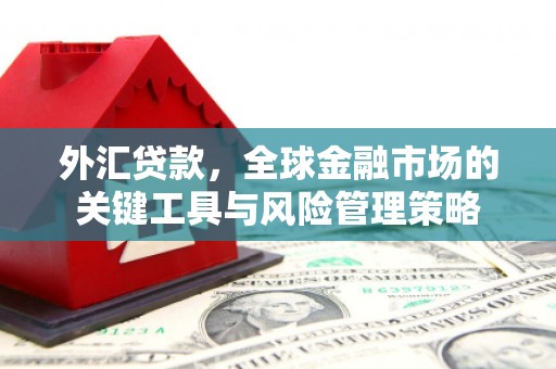 盐池外汇贷款，全球金融市场的关键工具与风险管理策略
