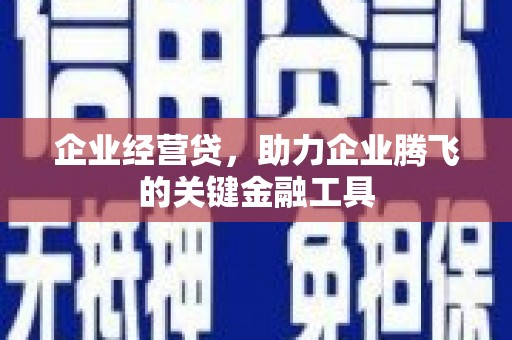 盐池企业经营贷，助力企业腾飞的关键金融工具