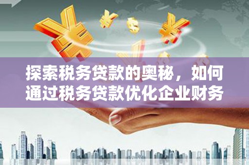 盐池探索税务贷款的奥秘，如何通过税务贷款优化企业财务