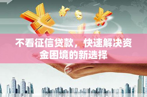 盐池不看征信贷款，快速解决资金困境的新选择