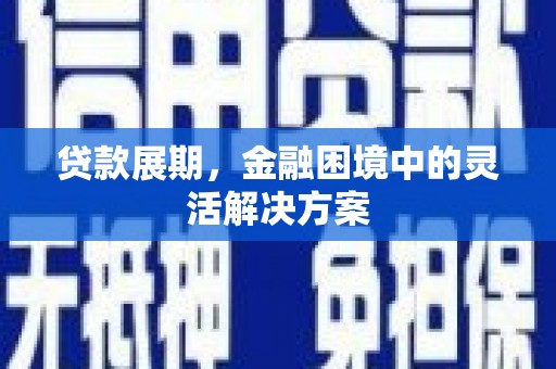 盐池贷款展期，金融困境中的灵活解决方案