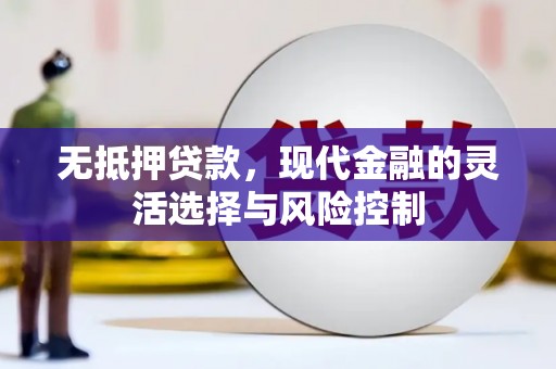 盐池无抵押贷款，现代金融的灵活选择与风险控制