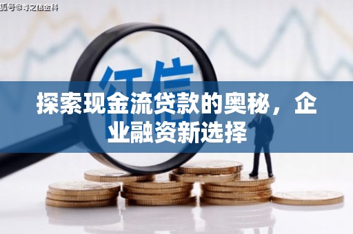 盐池探索现金流贷款的奥秘，企业融资新选择