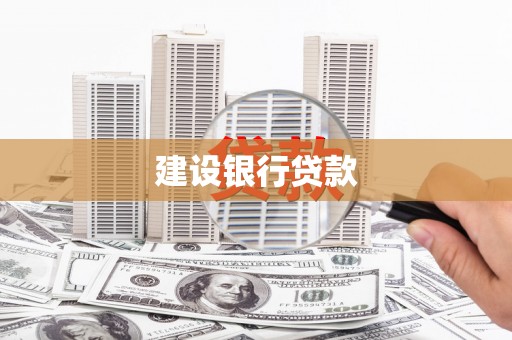 盐池建设银行贷款