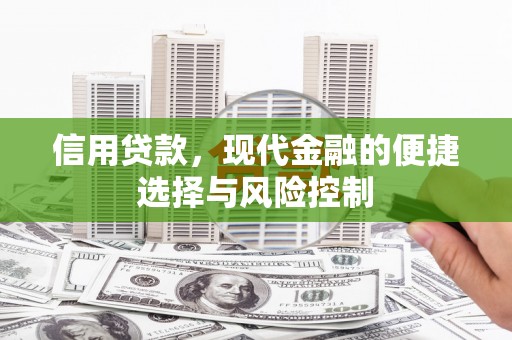 盐池信用贷款，现代金融的便捷选择与风险控制