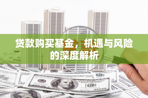 盐池贷款购买基金，机遇与风险的深度解析