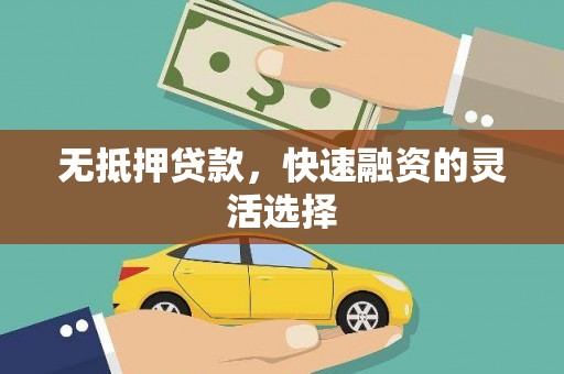 盐池无抵押贷款，快速融资的灵活选择