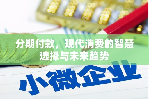 盐池分期付款，现代消费的智慧选择与未来趋势
