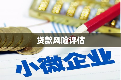 盐池贷款风险评估