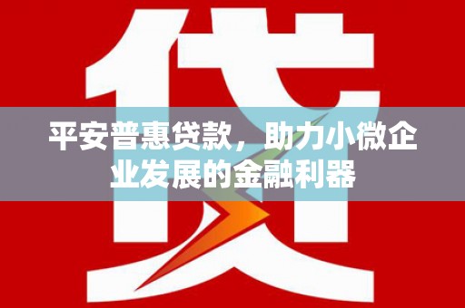 盐池平安普惠贷款，助力小微企业发展的金融利器