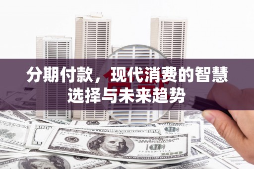 盐池分期付款，现代消费的智慧选择与未来趋势