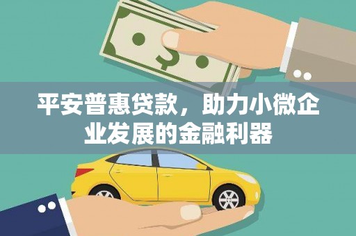 盐池平安普惠贷款，助力小微企业发展的金融利器