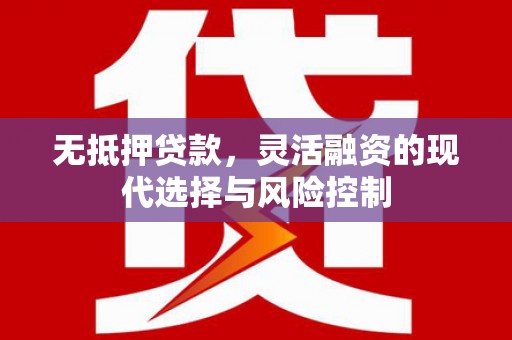 盐池无抵押贷款，灵活融资的现代选择与风险控制