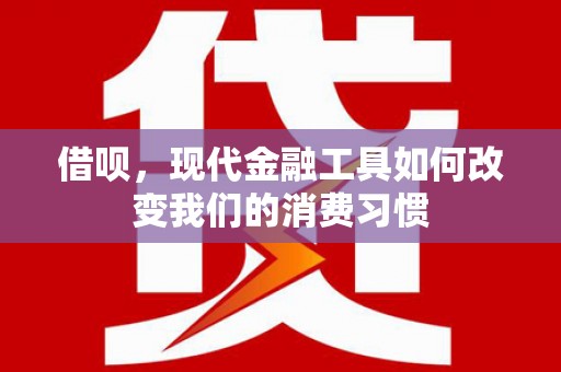 盐池借呗，现代金融工具如何改变我们的消费习惯