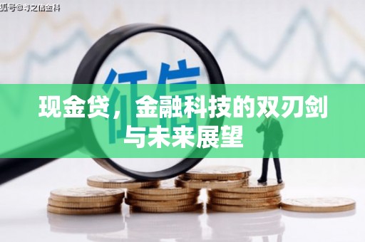 盐池现金贷，金融科技的双刃剑与未来展望