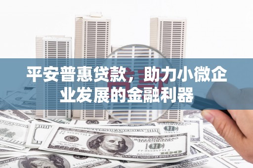 盐池平安普惠贷款，助力小微企业发展的金融利器