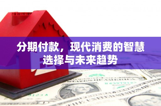 盐池分期付款，现代消费的智慧选择与未来趋势