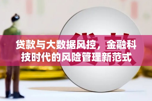 盐池贷款与大数据风控，金融科技时代的风险管理新范式