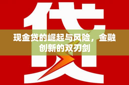 盐池现金贷的崛起与风险，金融创新的双刃剑