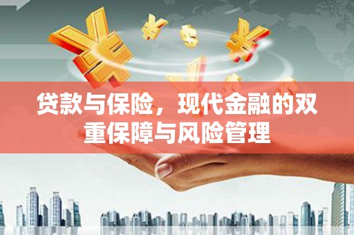 盐池贷款与保险，现代金融的双重保障与风险管理