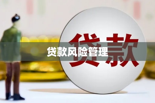 盐池贷款风险管理