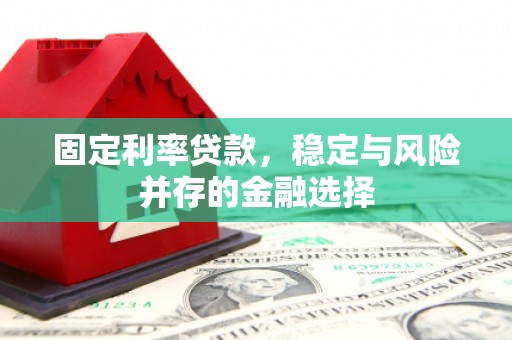 盐池固定利率贷款，稳定与风险并存的金融选择