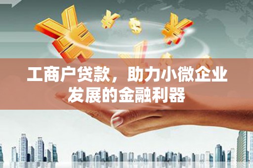 盐池工商户贷款，助力小微企业发展的金融利器