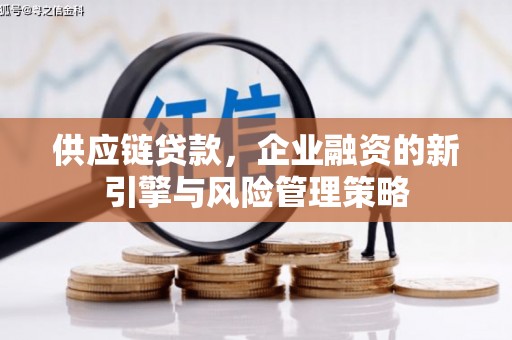 盐池供应链贷款，企业融资的新引擎与风险管理策略