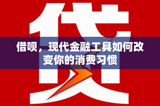 盐池借呗，现代金融工具如何改变你的消费习惯