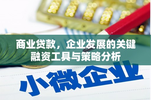 盐池商业贷款，企业发展的关键融资工具与策略分析