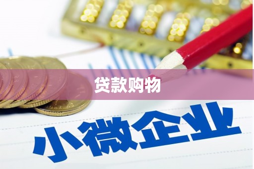 盐池贷款购物