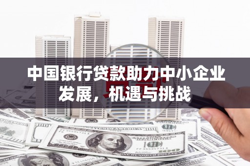 盐池中国银行贷款助力中小企业发展，机遇与挑战