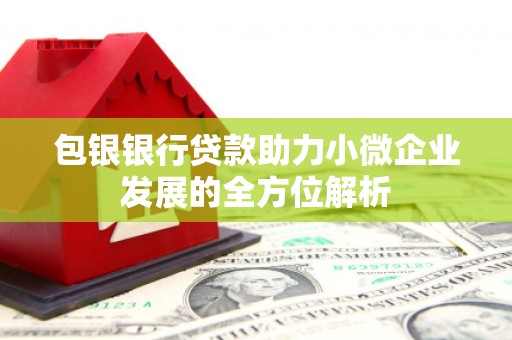 盐池包银银行贷款助力小微企业发展的全方位解析