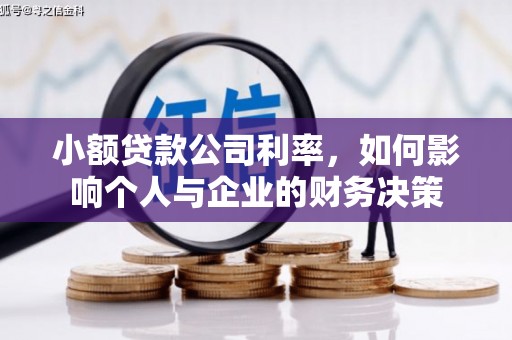盐池小额贷款公司利率，如何影响个人与企业的财务决策
