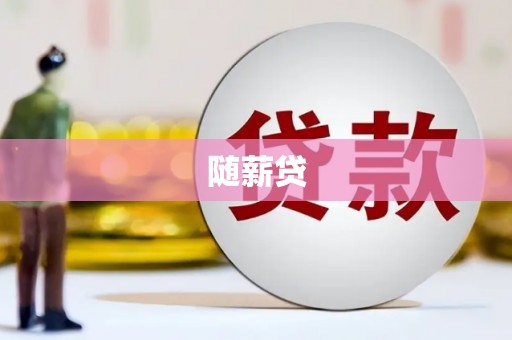 盐池随薪贷