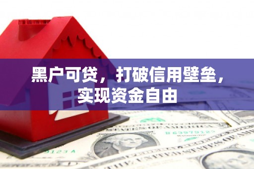 盐池黑户可贷，打破信用壁垒，实现资金自由