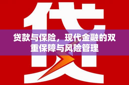 盐池贷款与保险，现代金融的双重保障与风险管理