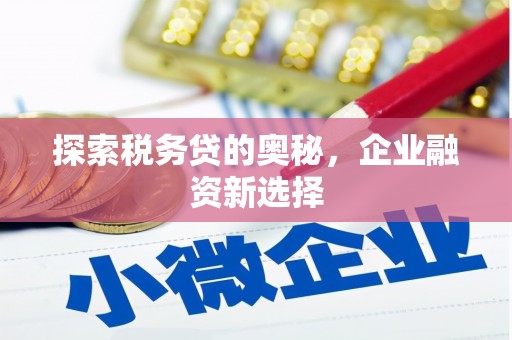 盐池探索税务贷的奥秘，企业融资新选择