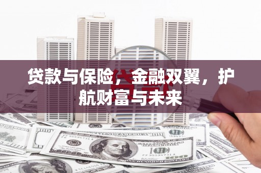 盐池贷款与保险，金融双翼，护航财富与未来