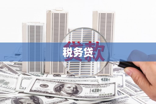 盐池税务贷