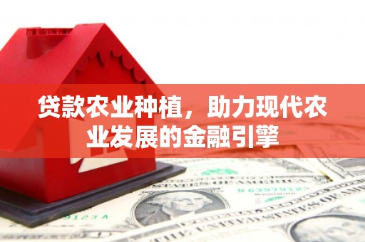 盐池贷款农业种植，助力现代农业发展的金融引擎
