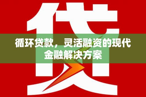 盐池循环贷款，灵活融资的现代金融解决方案