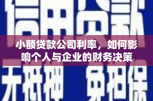 盐池小额贷款公司利率，如何影响个人与企业的财务决策