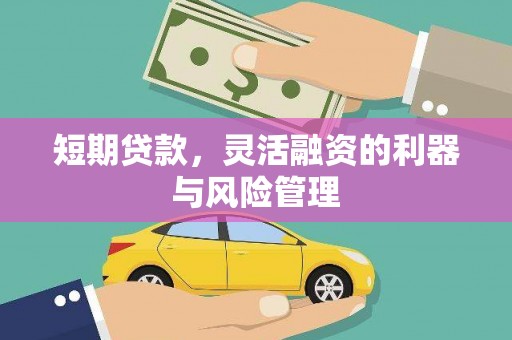 盐池短期贷款，灵活融资的利器与风险管理
