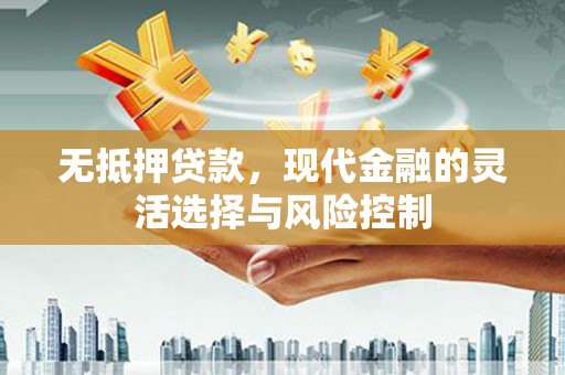 盐池无抵押贷款，现代金融的灵活选择与风险控制